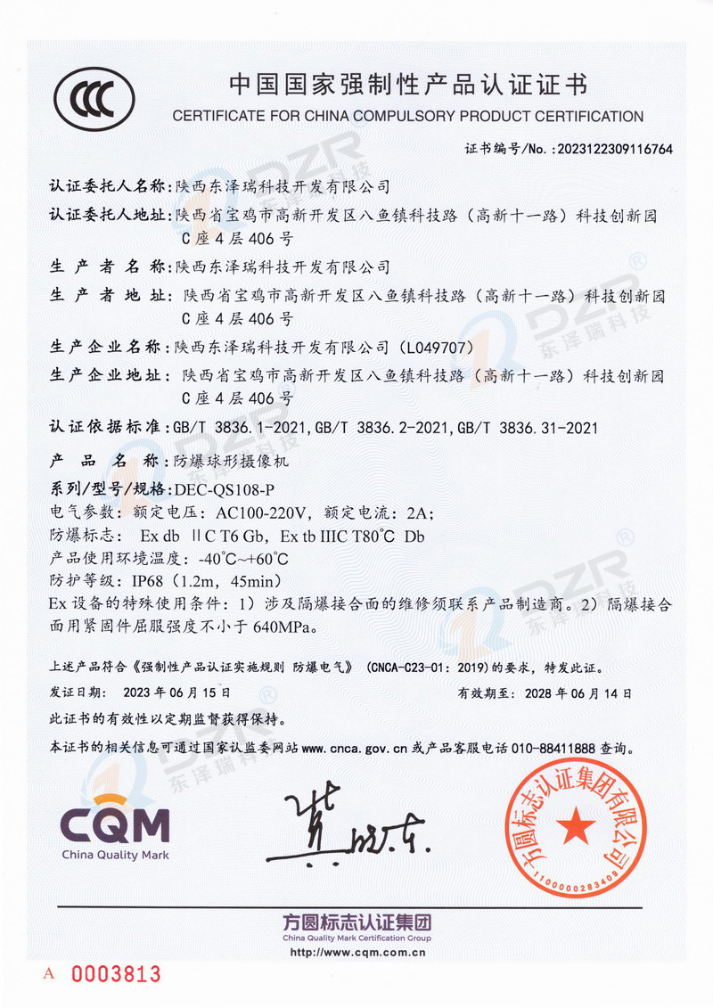 Explosion proof ball type camera