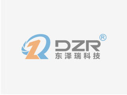 Shaanxi Dongzerui Technology D...